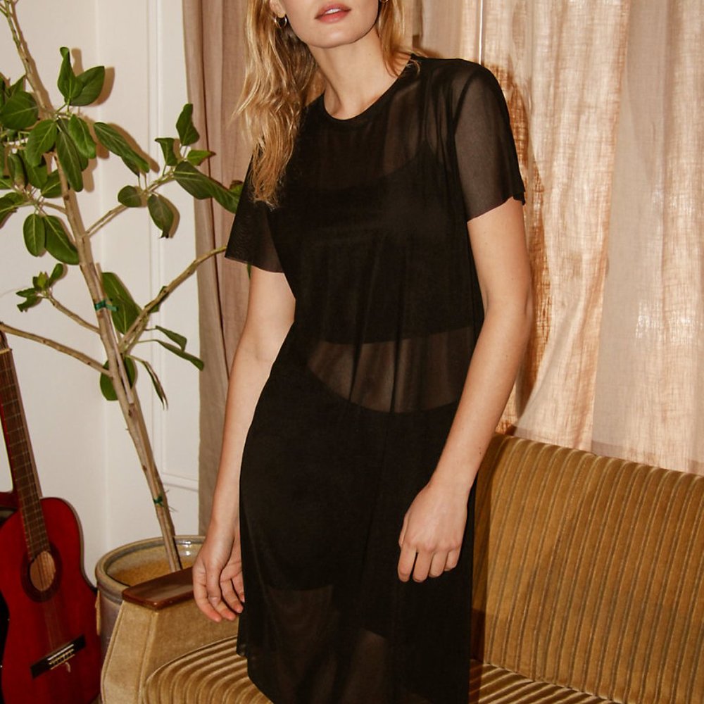 Aritzia Mesh T-shirt Dress